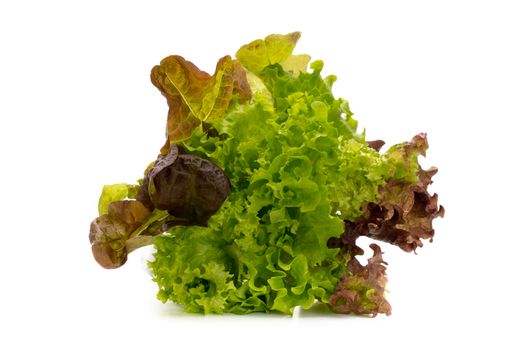 Salad isolated on a white background.