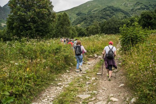 Group of people go hiking in wooded and hilly area. Rear view of woman engaged in nordic walking on rocky path.