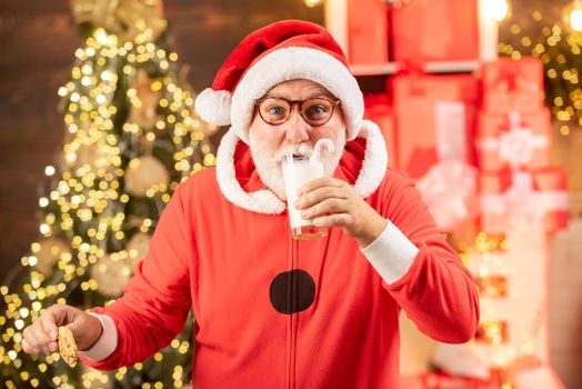 Portrait of Santa Claus Drinking milk from glass and holding cookies. Santa Claus holding Christmas cookies and milk against Christmas tree background