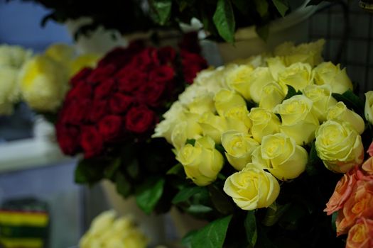 Bouquets of various flowers on counter. Fresh beautiful flowers in florist shop