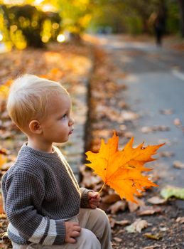 Golden autumn. Pretty little boy relax on beauty autumn landscape background. Cute baby kid walking among fallen leaves in autumn park. Warm sunny autumn concept