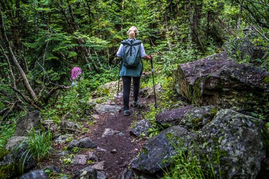 Rear view of woman engaged in nordic walking on rocky path