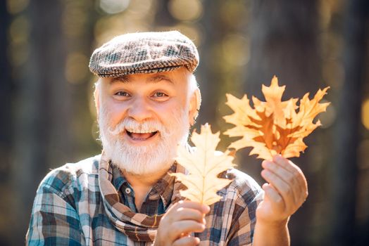 Grandfather relaxing in autumn park. Happy senior man. Active senior man having fun and playing with the leaves in autumn forest