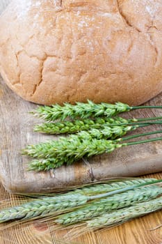 green wheat and rye, lying together with fresh bread on a cutting board made of wood, close-up