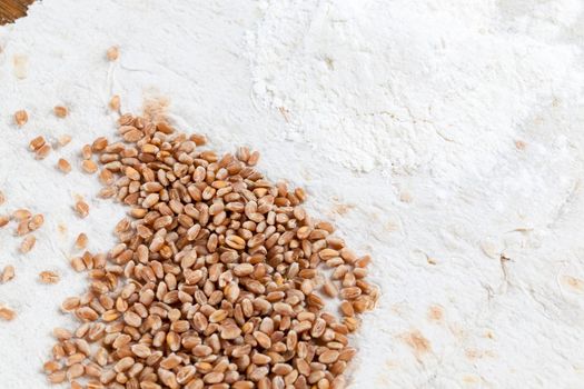 white flour and wheat grain lying together on white thin bread, close-up