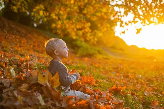 Pretty little boy relax on beauty autumn landscape background. Fun walking in the autumnal park. Lifestyle capture. Rural cozy scene. Happy baby boy having fun playing with fallen leaves in autumn park