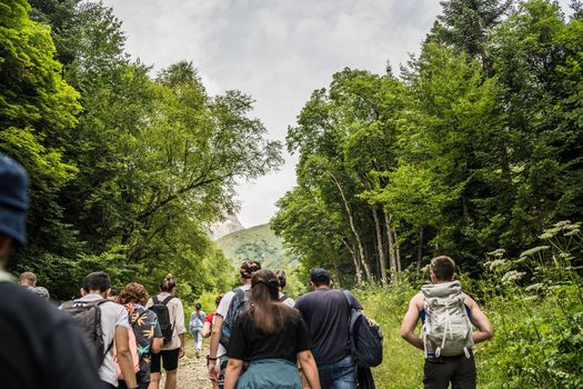 Group of people go hiking in wooded and hilly area. Rear view of tourists walking on rocky path on cloudy day.