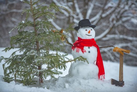 Snowman with freshly cut down christmas tree in forest. Young snowman lumberjack bears fir tree in the white snow background