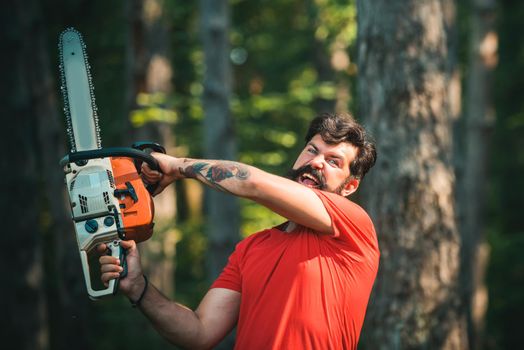 Illegal logging continues today. Woodworkers lumberjack. The Lumberjack working in a forest. Deforestation is a major cause of land degradation and destabilization of natural ecosystems