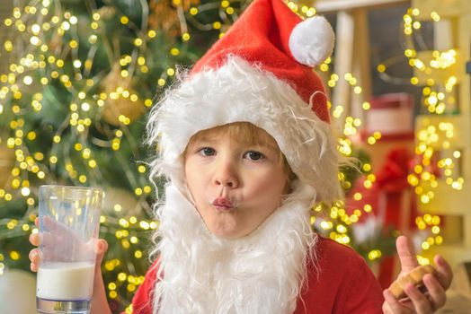 Santa holding cookie and glass of milk on Christmas tree background. Santa Claus holding Christmas cookies and milk against Christmas tree background. Little boy Santa Claus