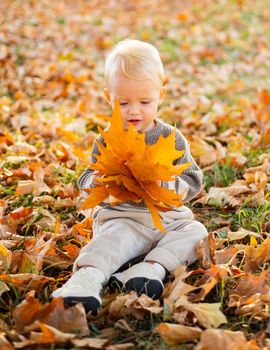 Cute little baby child playing in the autumn on the nature. Sunny autumn day. Autumnal leisure time. Happy baby boy with blonde hair plays at beautiful sunny autumnal evening