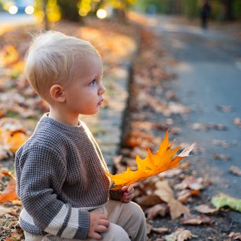 Beautiful child in a grey sweater in the autumn nature, rural cozy scene. The boy sits in the autumn leaves in the park. Happy baby boy with blonde hair plays at beautiful sunny autumnal evening