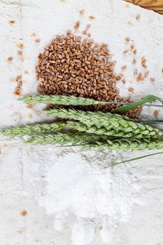green ears, ripe wheat grains on wheat thin pita bread, close-up view from above