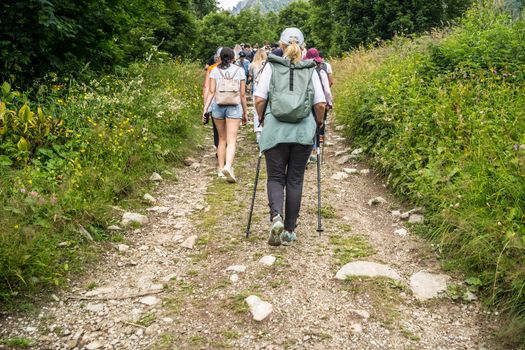 Group of people go hiking in wooded and hilly area. Rear view of woman engaged in nordic walking on rocky path.