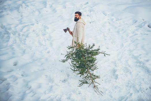 Bearded man with freshly cut down Christmas tree in forest. Christmas lumberjack with axe and Christmas tree. Winter portrait of lumber in snow Garden cutting Christmas tree