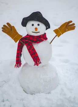Happy winter time. Snowman isolated on snow background. Merry Christmas and Happy Holidays