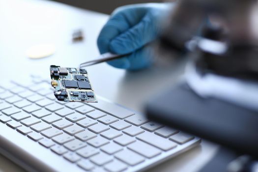 An employee of computer repair service assembly keeps spare part motherboard processor with tweezers for installation using method of soldering technology development