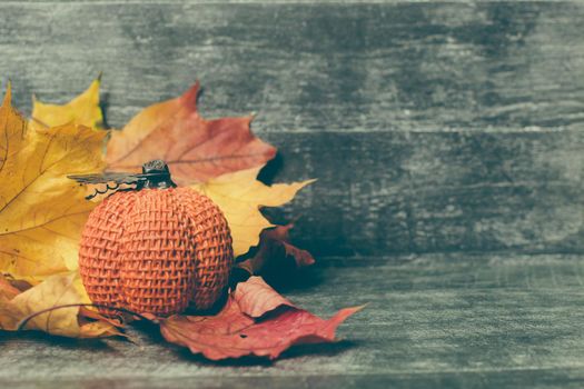 Autumn composition. Pumpkin, dried leaves on pastel gray wooden background. Autumn, fall, halloween concept. Flat lay, top view, copy space