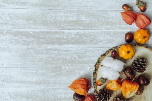Autumn composition. Chestnuts, pine cones, physalis, acorn on wooden background. Flat lay copy space
