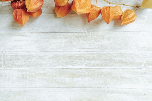 Autumn composition.Physalis border on wooden background. Flat lay. Free space for text