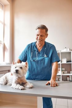 Positive emotions at work. Cheerful middle aged male vet in work uniform stroking a cute dog and smiling while standing at veterinary clinic. Pet care concept. Medicine concept. Animal hospital