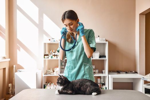 Pet health. Portrait of a female young veterinarian in work uniform holding a phonendoscope and looking at black cat lying on the table at veterinary clinic. Pet care concept. Medicine concept. Animal hospital