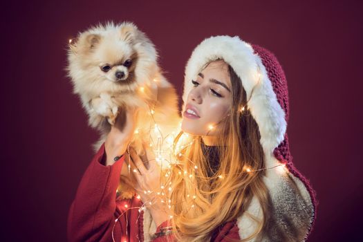 Sexy girl with pomeranian spitz dog at xmas. Christmas party and winter holiday. New year of dog, miracle and gift wonder. woman in santa costume with pet.