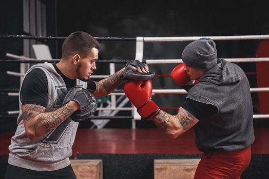 Confident muscular athlete in boxing gloves punching uppercut. Side view of young boxer training on boxing paws while standing in black boxing gym