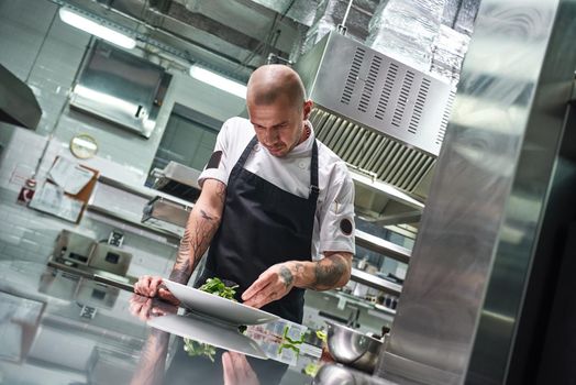 Food concept. Portrait of handsome professional chef in black apron decorating a salad on the plate while working in restaurant kitchen. Ready to serve