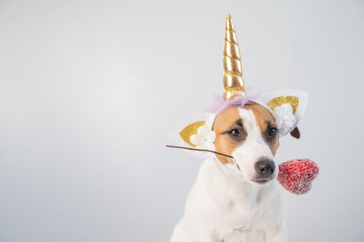 Cute jack russell terrier dog in a unicorn headband holding a heart on a white background