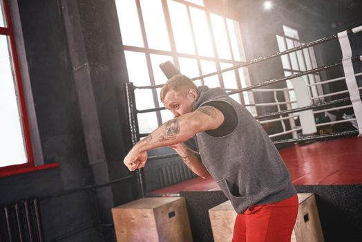 Confident athlete in sports clothing boxing punching right straight. Young handsome man with shadow while standing opposite colored boxing ring