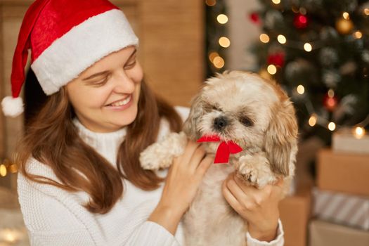 Small funny cute dog in woman on blurred Christmas background, puppy with red bow in teeth, smiling girl in santa claus hat playing with pet, expressing positive emotions.