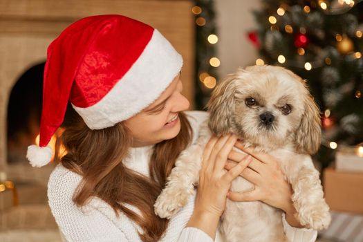 Happy girl in santa hat hugging with cute dog on background of beautiful christmas tree with lights in festive room, warm holiday atmospheric moments, pekingese with his owner in living room.