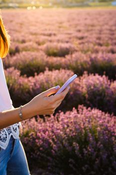 The girl in her hand holds a smartphone in a silicone case. Protective phone case lilac color. Beautiful lavender field. Modern technologies and availability of the Internet anywhere in the world.