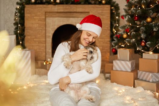 Woman in red hat and causal sweater holding small funny cute dog on Christmas background, lady with toothy smile sitting on floor on soft carpet and laughing happily.