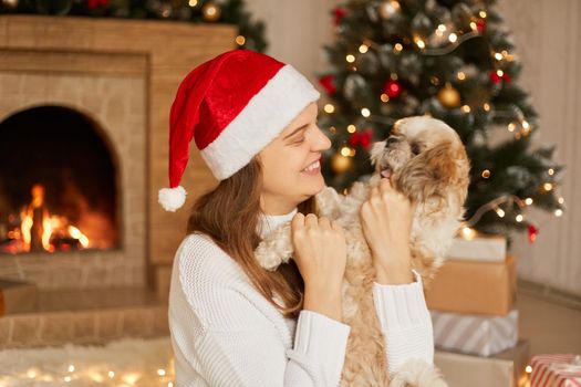 Beautiful adorable Pekingese with his owner over christmas tree and festive decor. Portrait of beloved pet at home with happy smiling lady in santa claus hat, posing in cozy decorated living room.