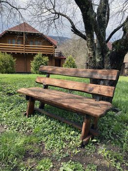 Close up of wooden bench near tree in countryside. Wooden pew on lawn for outdoor recreation