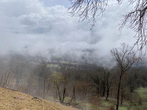 Beautiful landscape of mountainous terrain in fog. Nature background of hilly area in foggy and cloudy weather