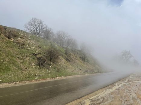 Close up of wet road in fog in mountainous terrain. Asphalt road after rain in foggy and cloudy weather