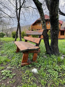 Close up of wooden bench near tree in countryside. Wooden pew on lawn for outdoor recreation