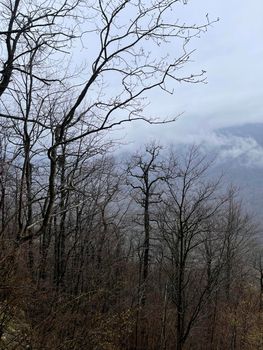 Beautiful landscape of mountainous terrain in fog. Nature background of hilly area in foggy and cloudy weather