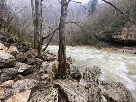 Beautiful landscape of mountain river in amazing and mysterious nature. Mountain waterway flowing through mountainous terrain