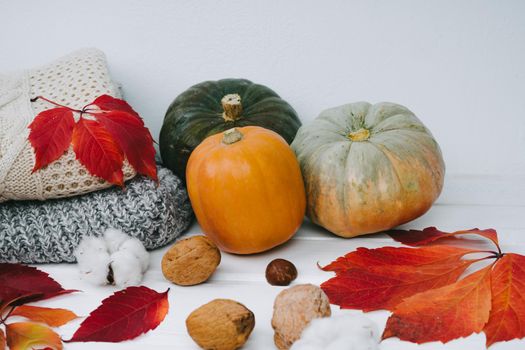 Pumpkins of different shapes and colors lie on a wooden white table. Autumn bright red leaves and walnut. Autumn composition of sweaters and pumpkins.
