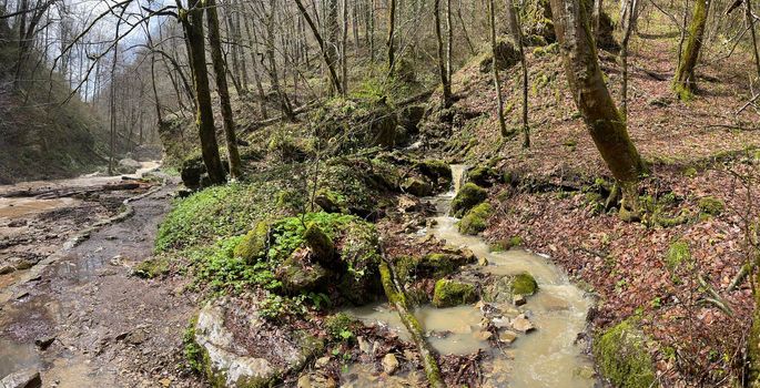 Beautiful landscape of mountain river in amazing and mysterious nature. Mountain waterway flowing through mountainous terrain