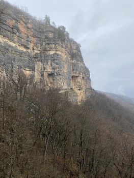 Forest landscape in mountainous terrain. Close up of tree trunks on high ground in springtime