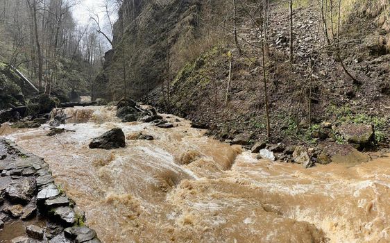 Beautiful landscape of mountain river in amazing and mysterious nature. Mountain waterway flowing through mountainous terrain