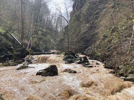 Beautiful landscape of mountain river in amazing and mysterious nature. Mountain waterway flowing through mountainous terrain