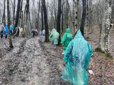 Rear view of tourists in raincoats walking through muddy forest in cloudy and rainy weather. Group of people hiking in wooded and hilly terrain