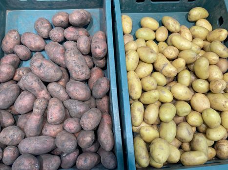 Close up of various potatoes in plastic boxes on supermarket counter. Concept of agriculture and organic food