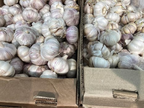 Close up of garlic in boxes on supermarket counter. Concept of agriculture, organic food and useful substances
